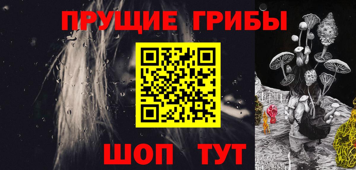 Псилоцибиновые грибы Cubensis Норильск